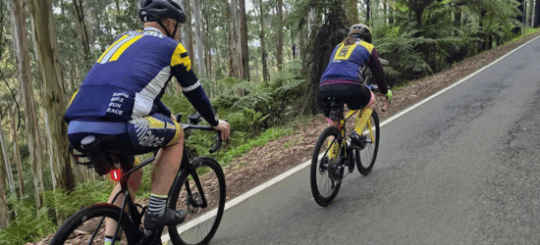 dandenongs-latte-ride